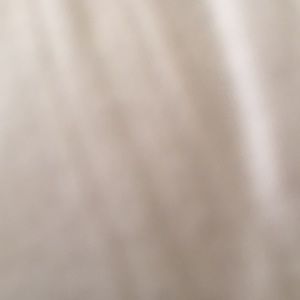 Meet your Posher, Rosemary